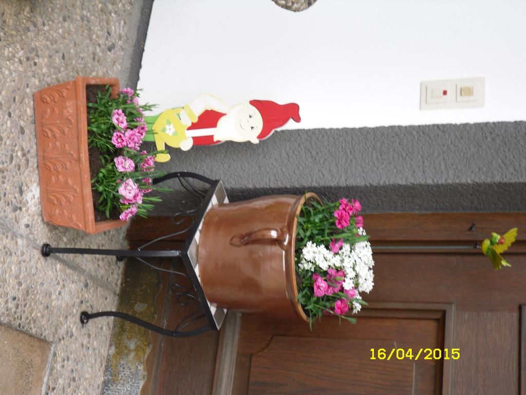 Vorderwiesgut Altenmarkt im Pongau Exterior photo