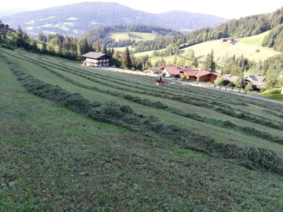 Vorderwiesgut Altenmarkt im Pongau Exterior photo